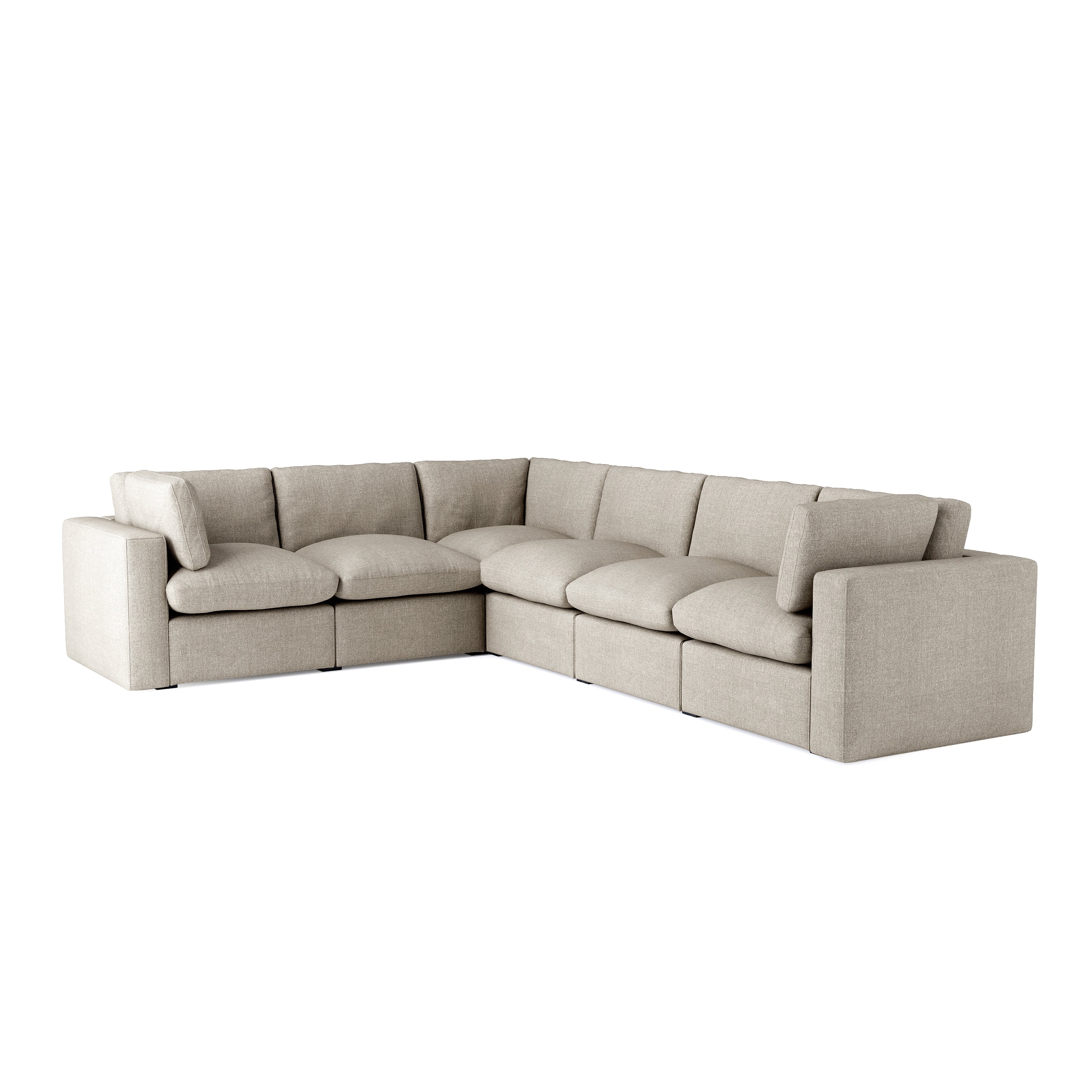 abalone right-sectional