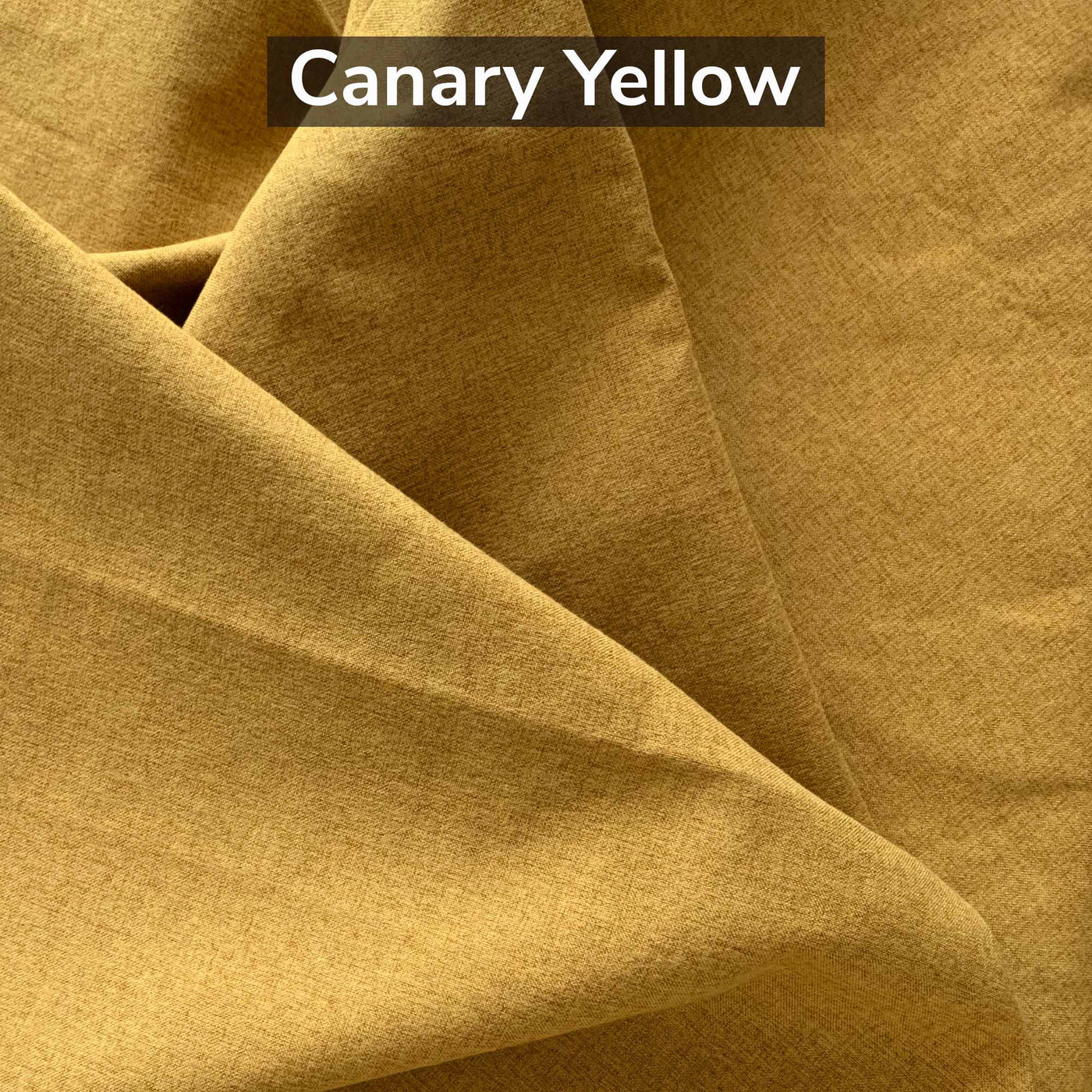 canary